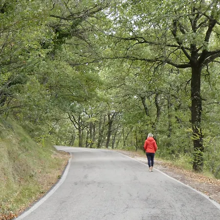 Montefabbri Bed & Breakfast 3*